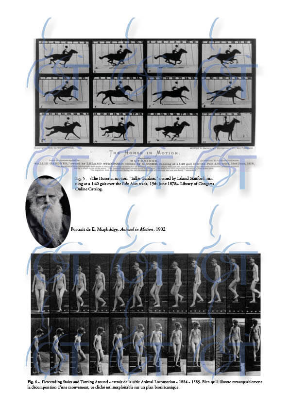 Histoire biomeca10