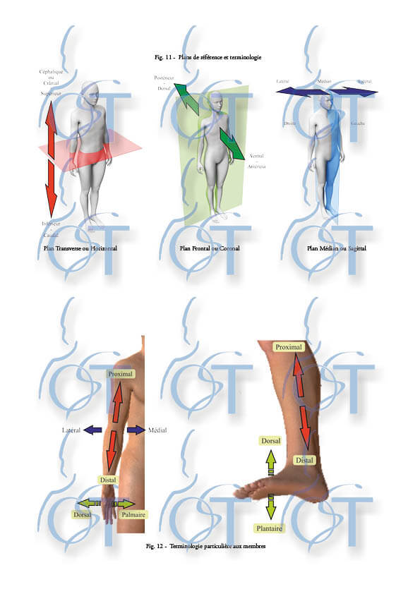 Histoire biomeca16