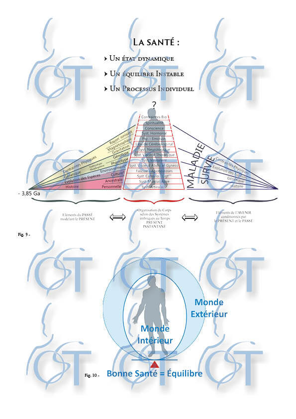 Homo Sapiens18