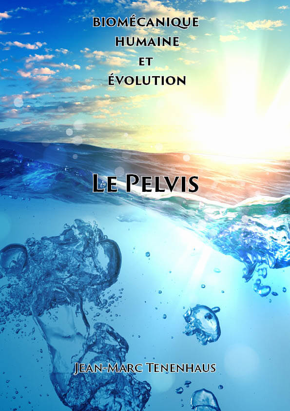 Le pelvis1