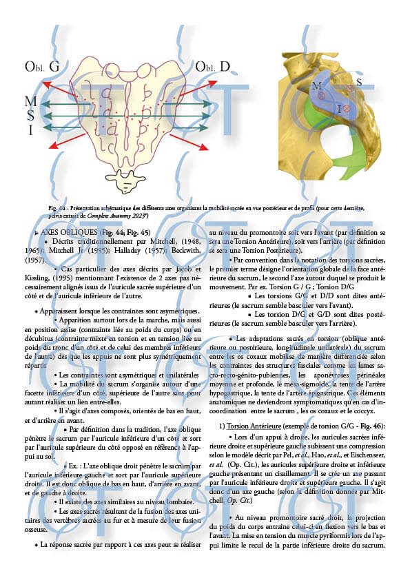 Le pelvis144