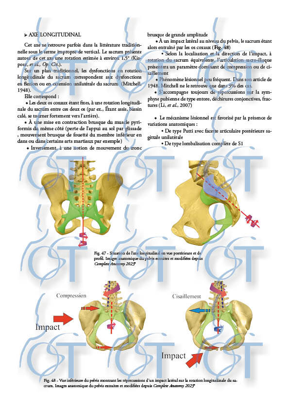 Le pelvis146