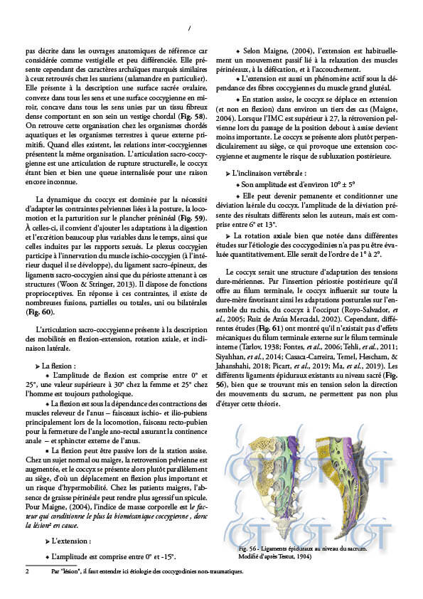 Le pelvis155