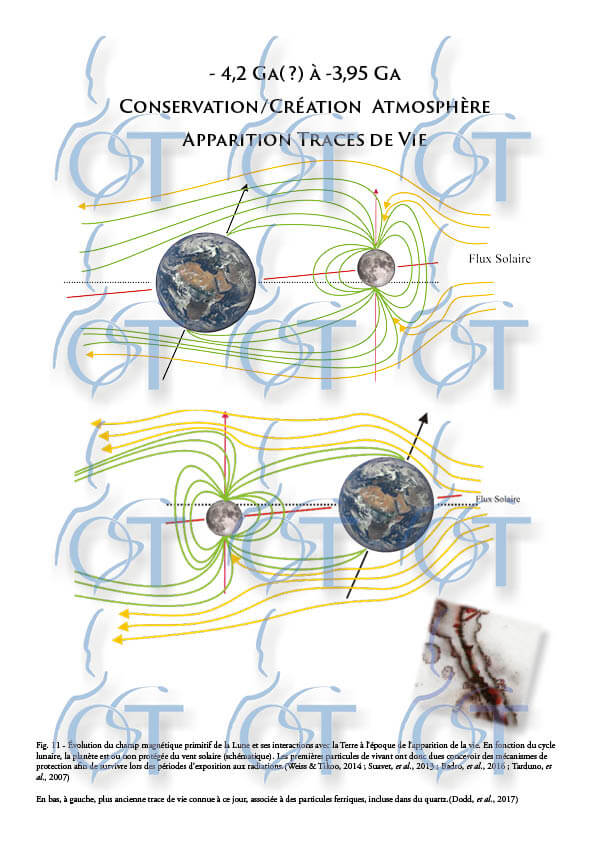 Terre de nos Ancetres18