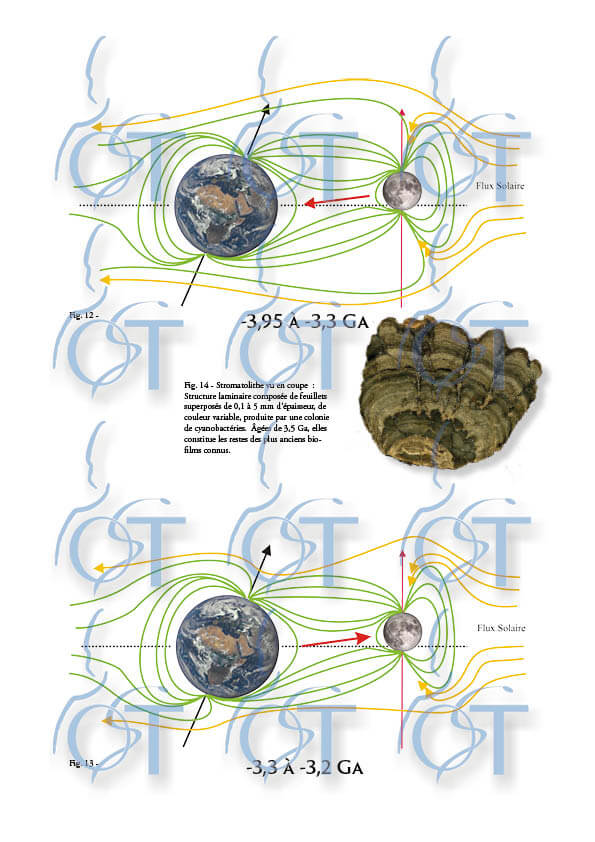 Terre de nos Ancetres20