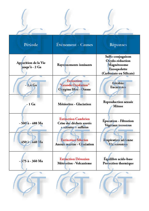 Terre de nos Ancetres28