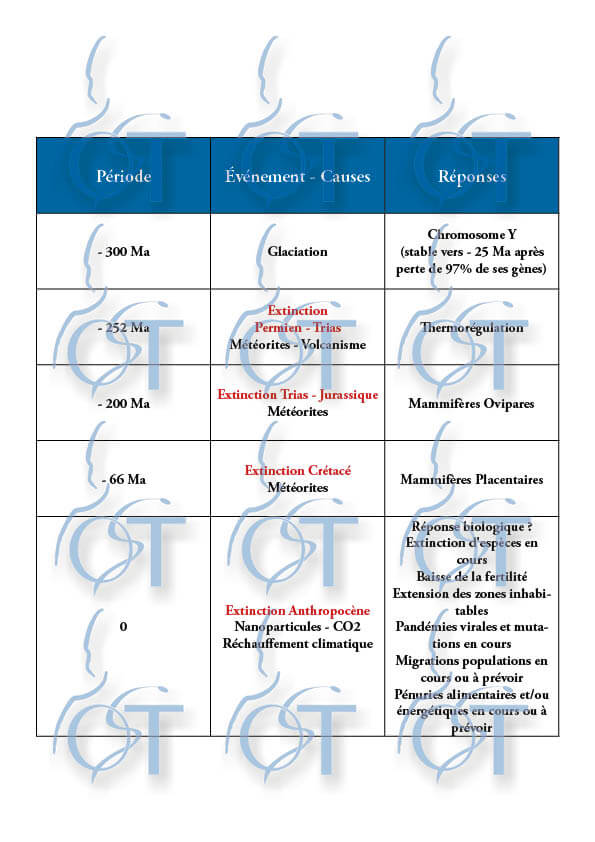 Terre de nos Ancetres30