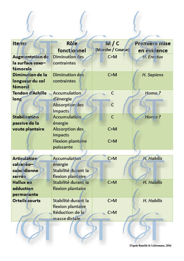 adaptation membre inf10