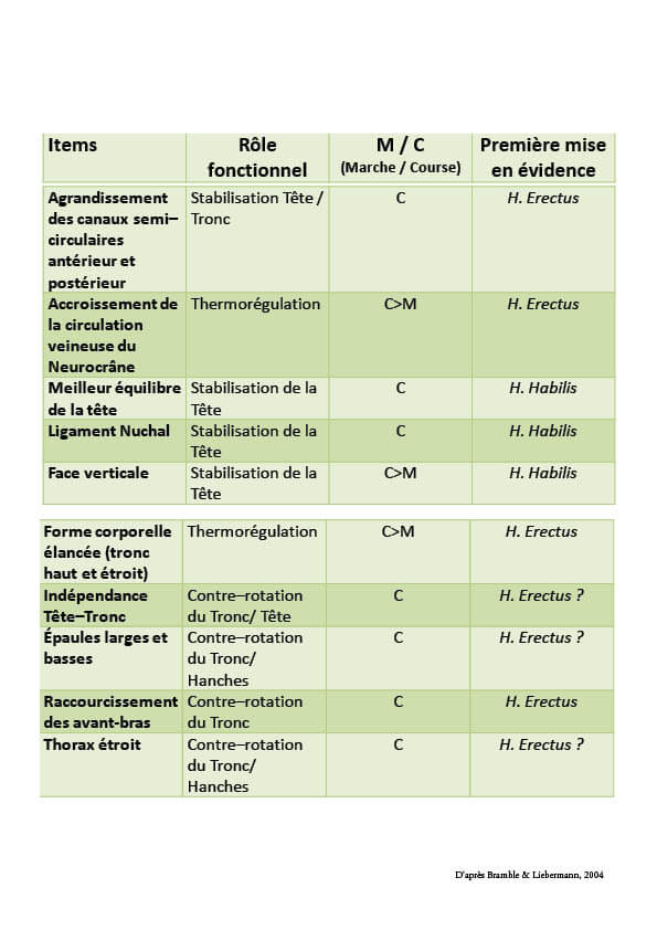 adaptation membre inf6